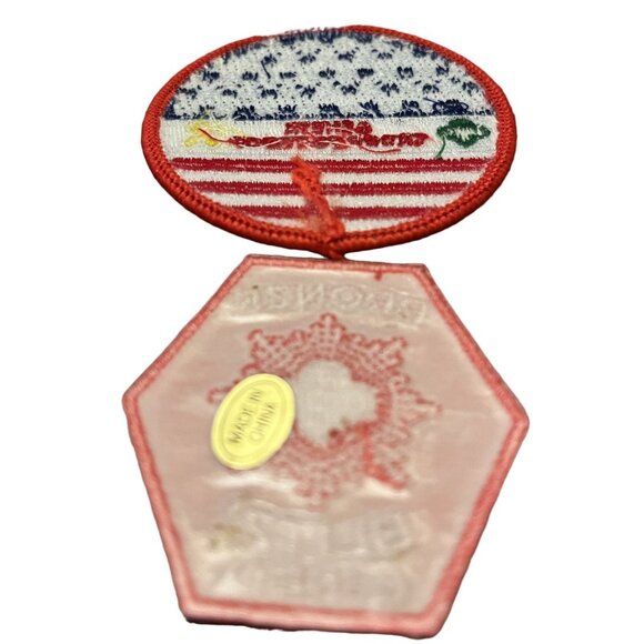 Brownies Girl Scouts Mixed Lot of 11 GSNETX Event Patches 2011-2015 - Picture 6 of 10